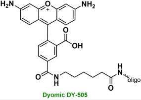 Bio-Synthesis Inc. Oligo Structure